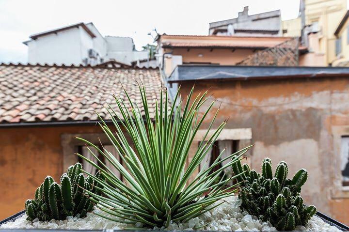 Navona Penthouse Appartement Rome Buitenkant foto